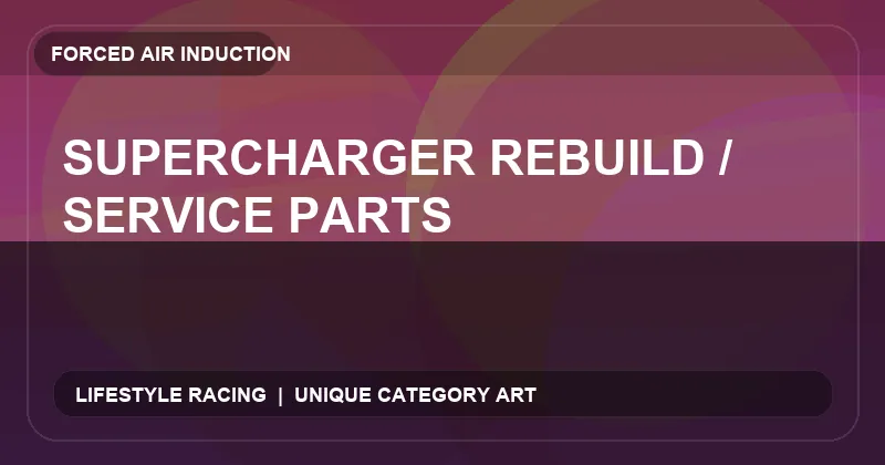 Supercharger Rebuild / Service Parts